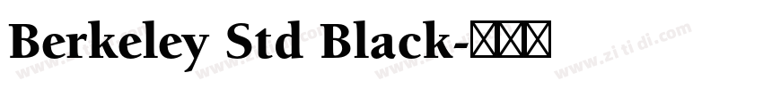 Berkeley Std Black字体转换